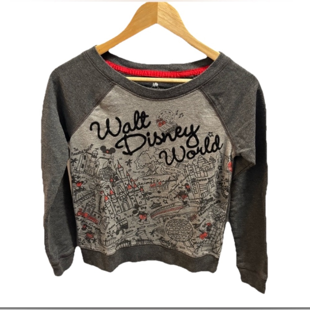 DISNEY PARKS Walt Disney World Park Icon Sweatshirt XS Mickey Minnie Nostalgic